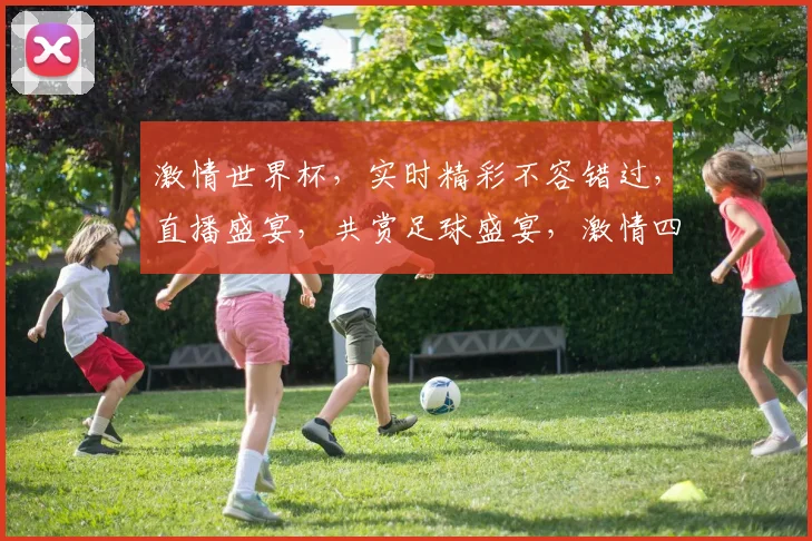 激情世界杯，实时精彩不容错过，直播盛宴，共赏足球盛宴，激情四溢