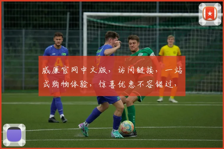 威廉官网中文版，访问链接，一站式购物体验，惊喜优惠不容错过，3个必看亮点