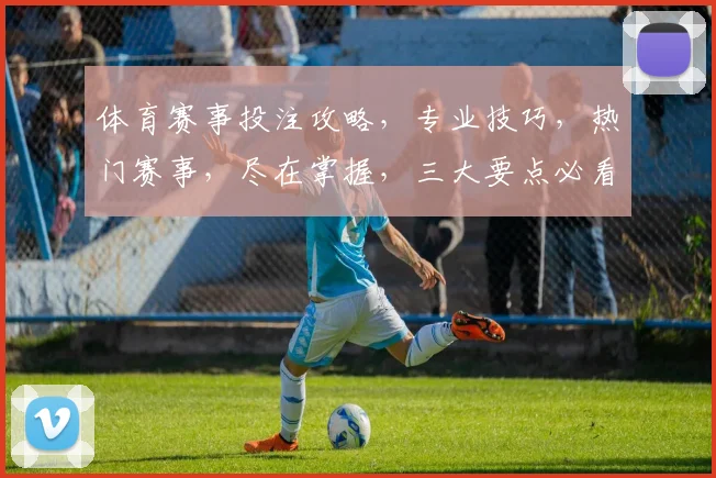 体育赛事投注攻略，专业技巧，热门赛事，尽在掌握，三大要点必看